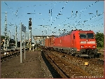 Erfurt 2005: 185 mit Containerzug