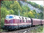 Saalfeld 2005: MEG 2003 zieht den Güterzug nach Saalfeld