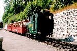 Dampfzug der Brienz-Rothorn-Bahn in Brienz